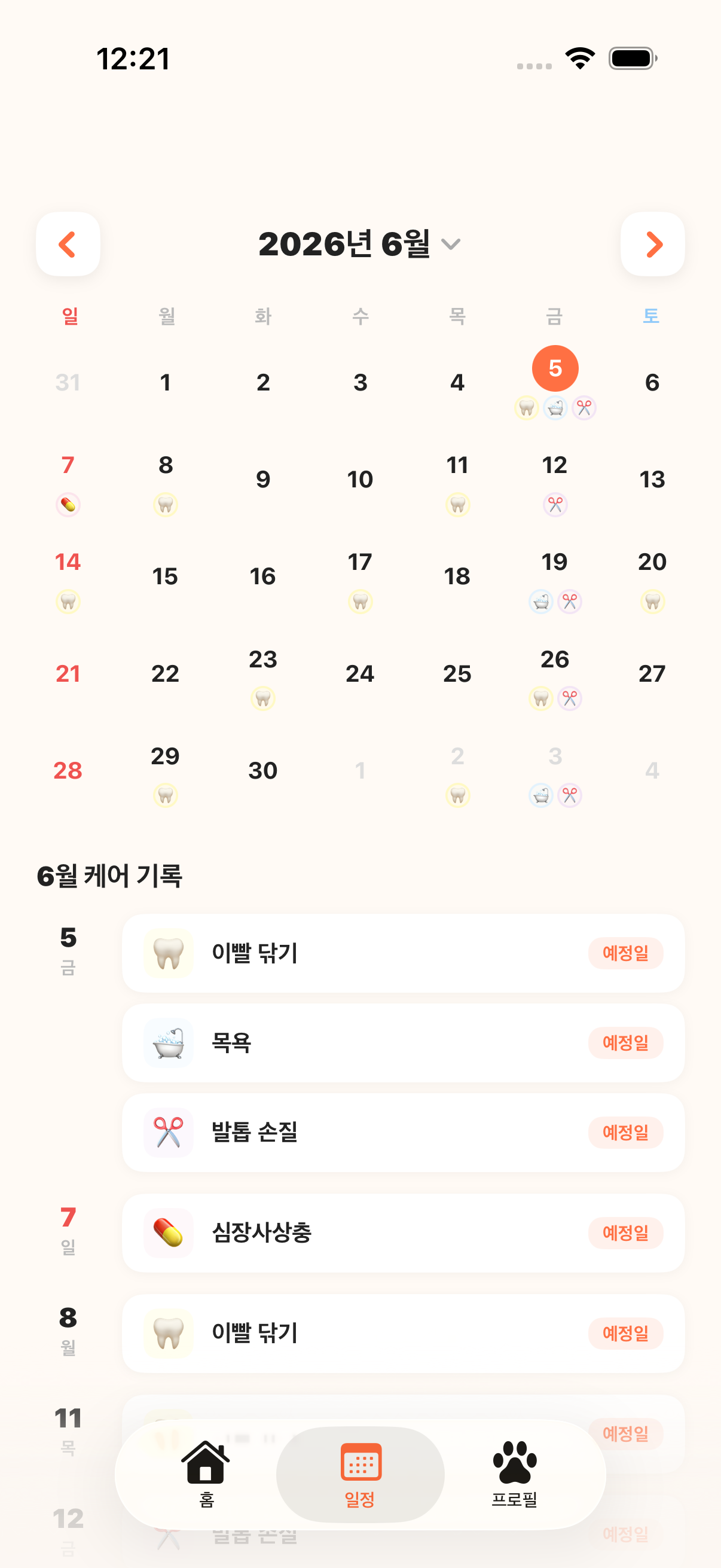 일정 달력 화면